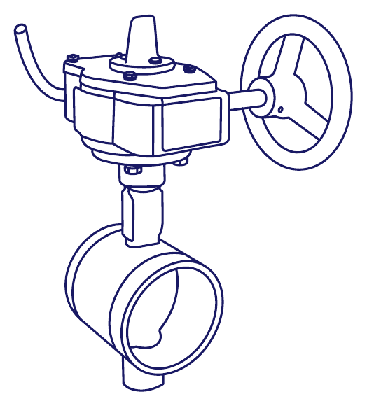 Grooved End Butterfly Valve