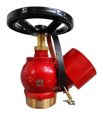 Oblique Landing Valve, Flanged Inlet (Low Pressure) thumbnail